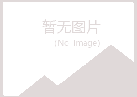 田东县字迹金融有限公司